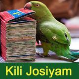 Kili Josiyam أيقونة