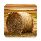Agriculture Engineering アイコン