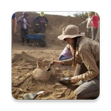 Archaeology ícone