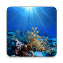 Oceanography APK