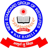 New Standard Public School - N