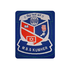 MANAV BHARTI SCHOOL KUMHER icon