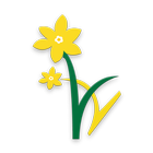 Daffodils - Parent App icône