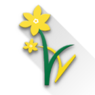 Daffodils World School - Stude icône