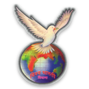 VISHWA BHARTI SR. SEC. SCHOOL APK