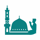 iStatus Pro آئیکن