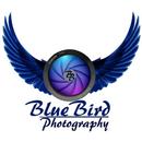 Bluebird Photography APK