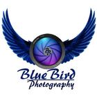 Bluebird Photography icône