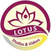 Lotus Studios & Videos иконка