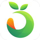 Village Farms - Online Grocery Store ikona
