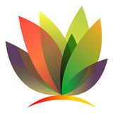 Viru Groups