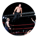 Wrestling Videos Wwe APK
