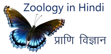 Zoology App in Hindi, Zoology Gk App in Hindi