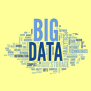 Big Data Interview Questions APK