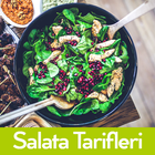 İnternetsiz Salata Tarifleri icône