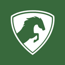 Kayo VPN APK