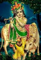 Lord Krishna HD Wallpapers imagem de tela 2