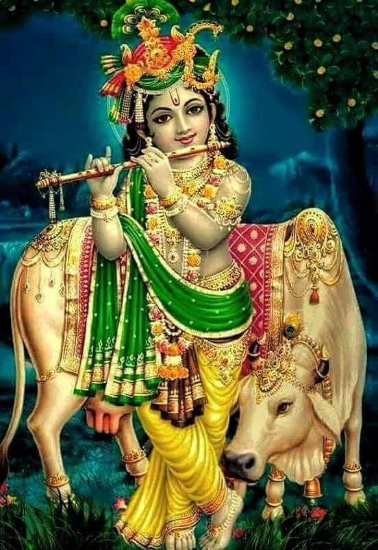 ดาวน์โหลด Lord Krishna HD Wallpapers APK สำหรับ Android ดาวน์โหลด Lord Krishna HD Wallpapers APK สำหรับ Android