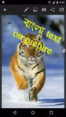 bangla text on picture APK download