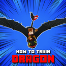 Craftsman HTTYD APK
