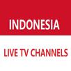 indonesia live tv channels APK