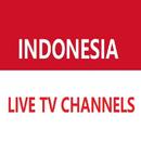 indonesia live tv channels APK