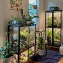 Indoor Greenhouse APK