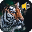 Звуки животных: Мелодии APK