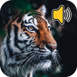 Tiergeräusche: Klingeltöne