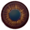 Bird-Eye icon