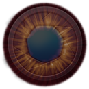 Bird-Eye APK