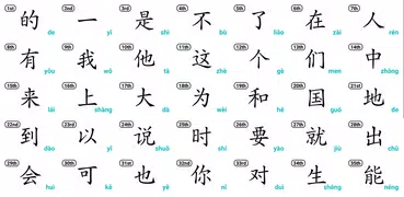 Chinese Learner's Dictionary