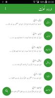 Urdu Lughat скриншот 1