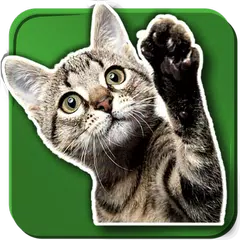 WASticker Cats アプリダウンロード