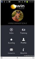 Horse Grimace Scale Affiche
