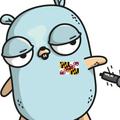 Golang Libraries and Compiler