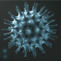 Coronavirus Updates