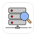 Network Service Discovery