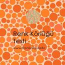 APK Renk Körlüğü Testi