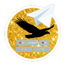 Interactive Content Telegram G APK