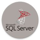 Conexión SQL a MyBusiness POS  APK
