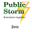Public-Storm