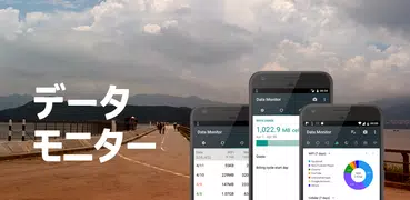 データモニター：簡単なネットメーター