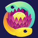 PyConZA 2021 Schedule APK