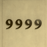 9999 icône