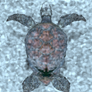APK SUNKEN ROOM -room escape game-