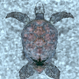 SUNKEN ROOM -room escape game-