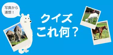 写真から連想！クイズこれ何？