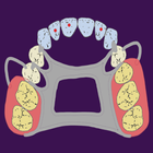 Dental Planner-icoon
