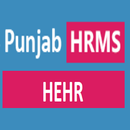 HEHR PUNJAB APK